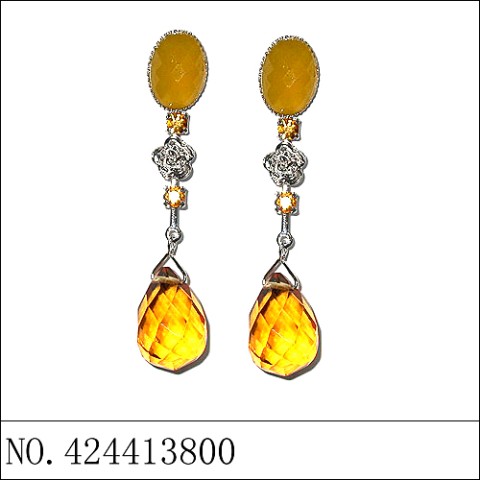 Earrings Brown