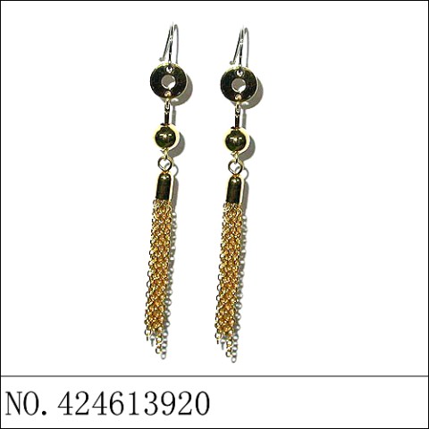 Earrings Gold