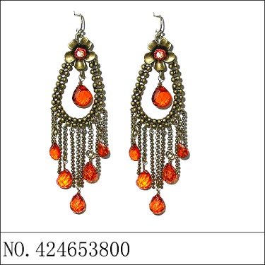 Earrings Brown