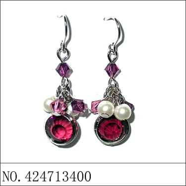 Earrings Purple