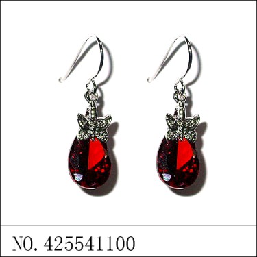 Earrings Red