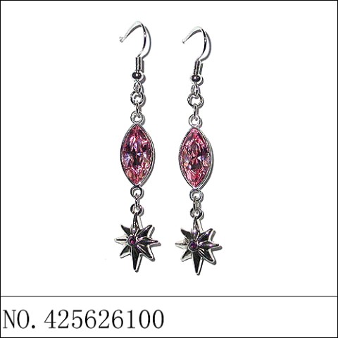 Earrings Red