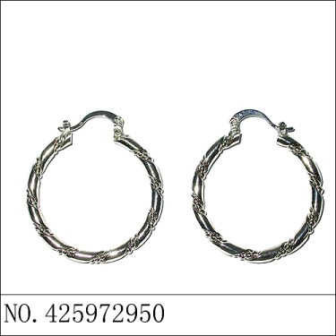 Earrings White Gold