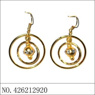 Earrings Gold