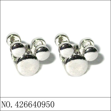 Earrings White Gold