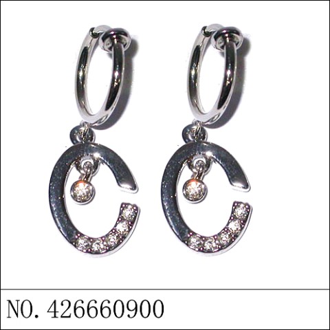 Earrings White