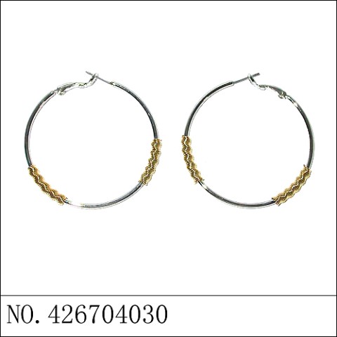 Earrings Stripe