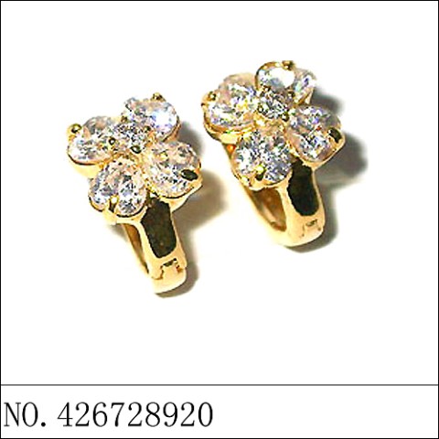 Earrings Gold