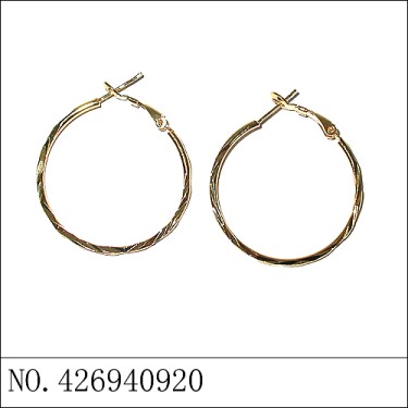 Earrings Gold