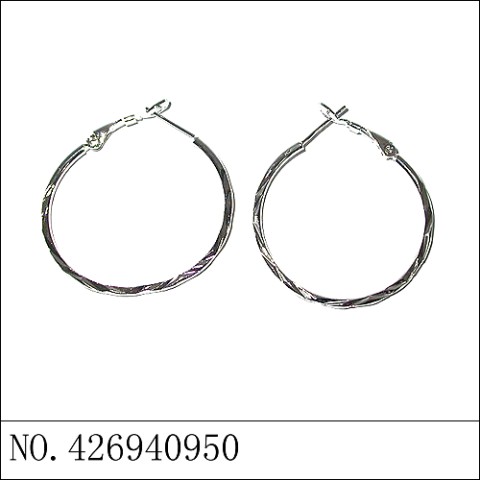 Earrings White Gold