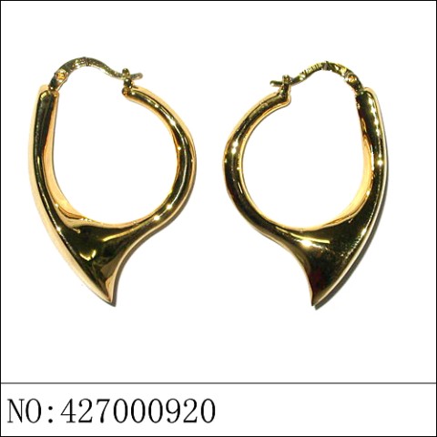 Earrings Gold