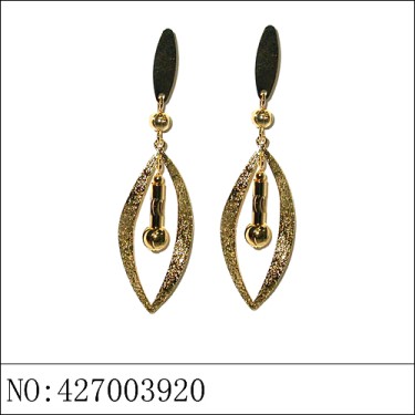 Earrings Gold