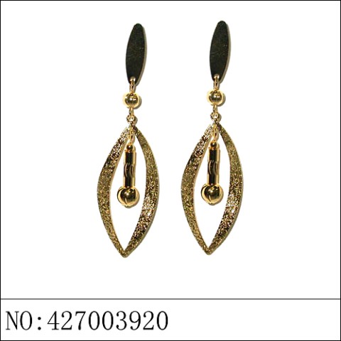 Earrings Gold