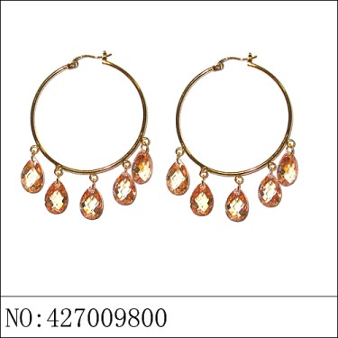 Earrings Brown