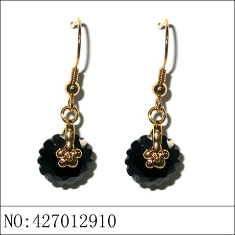 Earrings Black