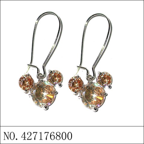 Earrings Brown