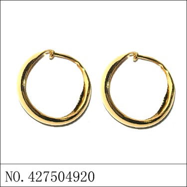 Earrings Gold