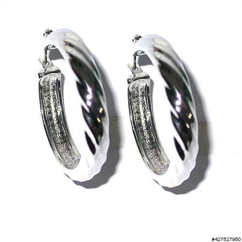 Earrings White Gold