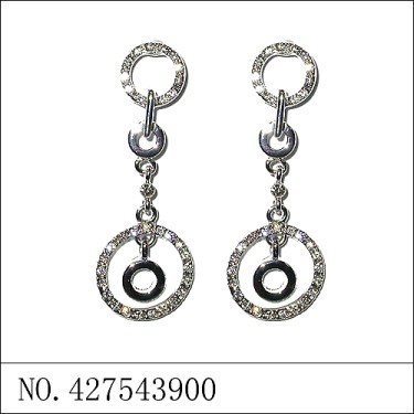 Earrings White