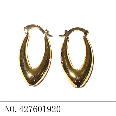 Earrings Gold