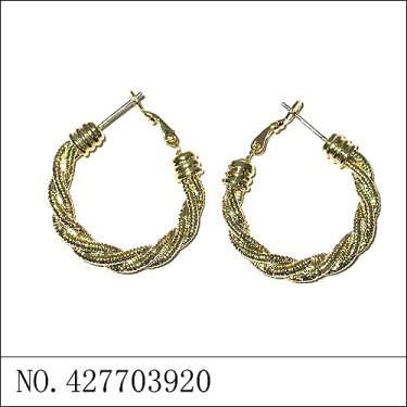 Earrings Gold