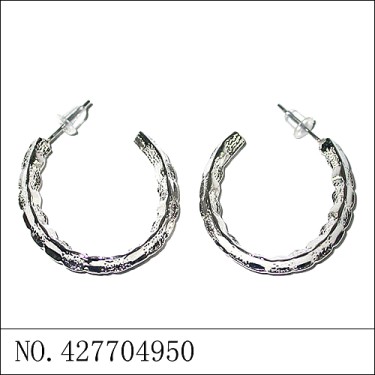 Earrings White Gold