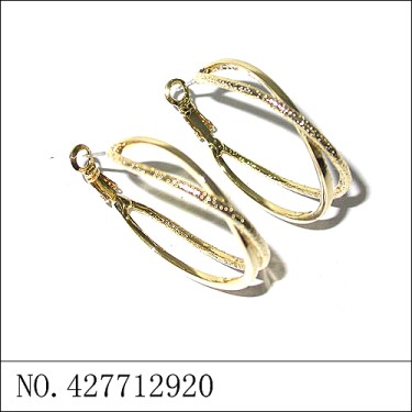 Earrings Gold