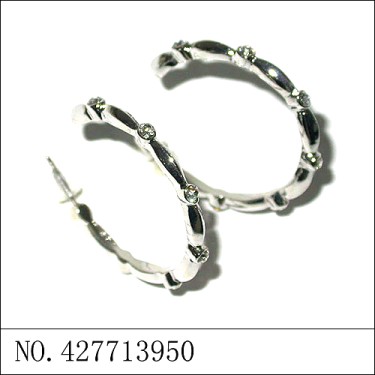 Earrings White Gold