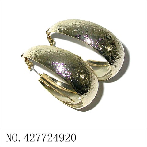 Earrings Gold