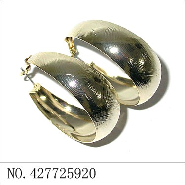 Earrings Gold