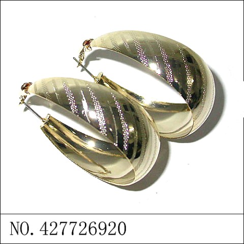 Earrings Gold