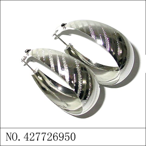 Earrings White Gold