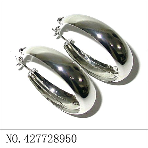 Earrings White Gold