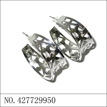 Earrings White Gold