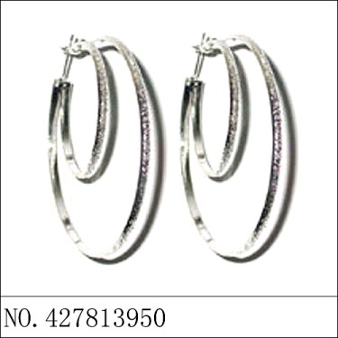 Earrings White Gold