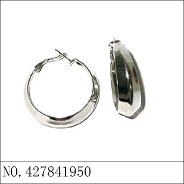 Earrings White Gold