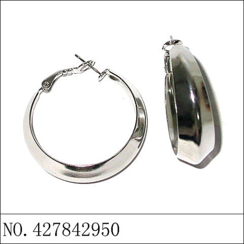 Earrings White Gold