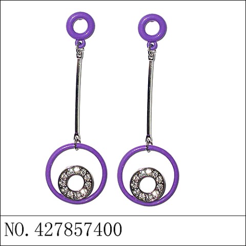 Earrings Purple