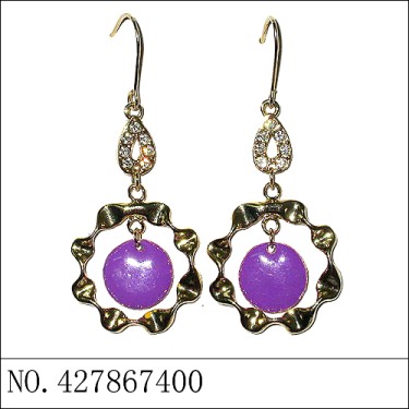 Earrings Purple