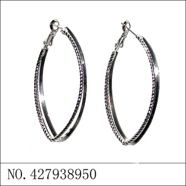 Earrings White Gold