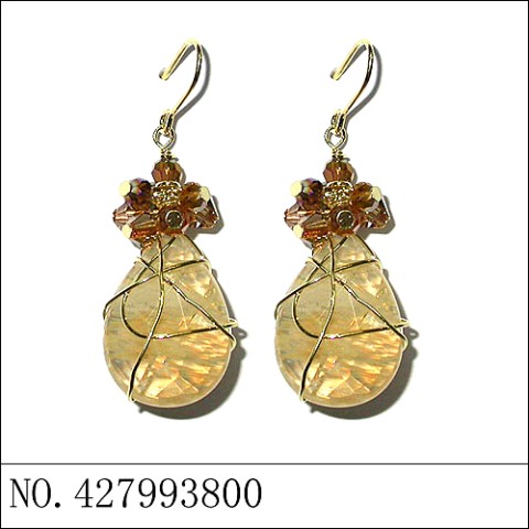 Earrings Brown