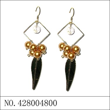 Earrings Brown