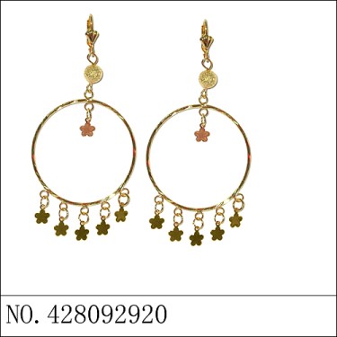 Earrings Gold