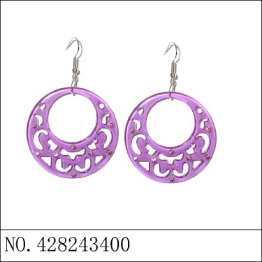 Earrings Purple