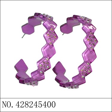 Earrings Purple