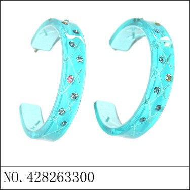 Earrings Blue