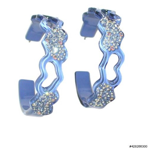 Earrings Blue