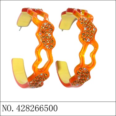 Earrings Orange