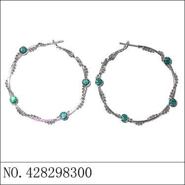 Earrings Blue