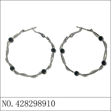 Earrings Black